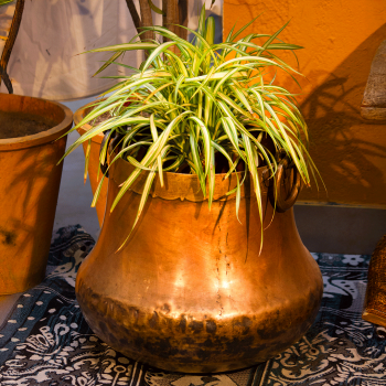 Vintage copper pot with brass handles – handcrafted decorative pot front view