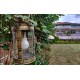 Antique Golden Iron Glass Electric Lamp with Jute Sling Antique Golden Iron Glass Electric Lamp with Jute Sling