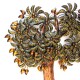 Iron Wall Panel Decorative - Mango Tree Iron Wall Panel Decorative - Mango Tree