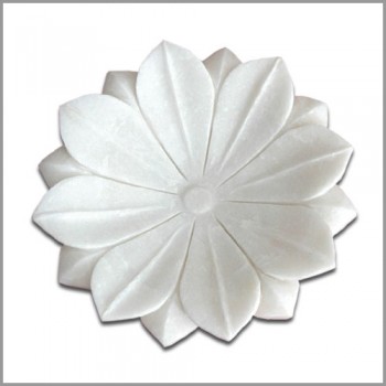 Lotus Plate